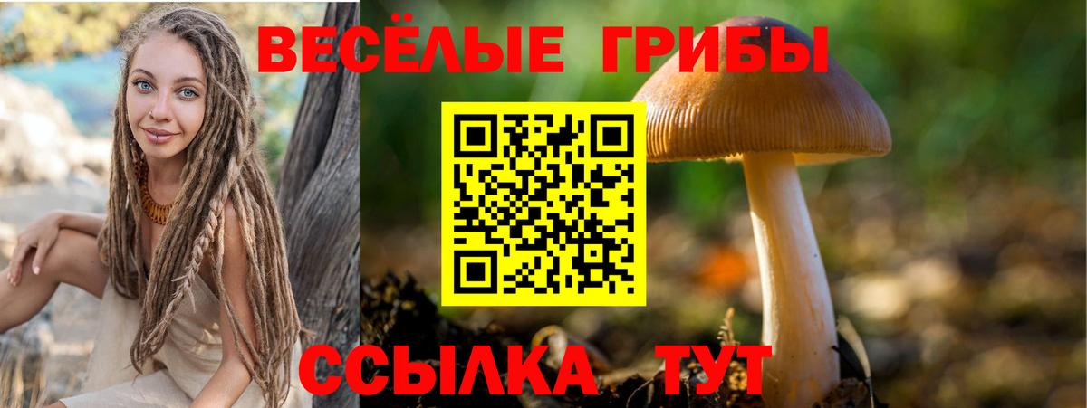 Псилоцибиновые грибы Psilocybe  Галлюциногенные грибы MAGIC MUSHROOMS  Красногорск  Вход с VPN 